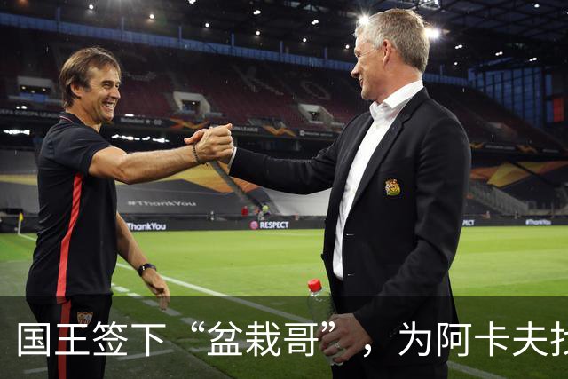 国王签下“盆栽哥”，为阿卡夫找个“算命师